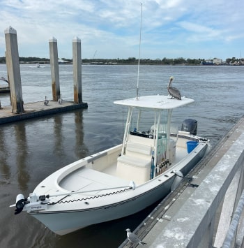 Fishing Boat With Sea Gull