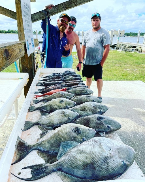 Three Men With The Fishes They Caught