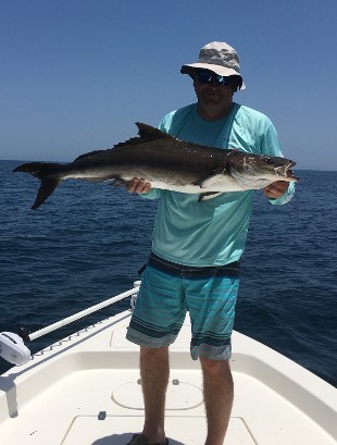 Man With Hat Holding A Big Fish