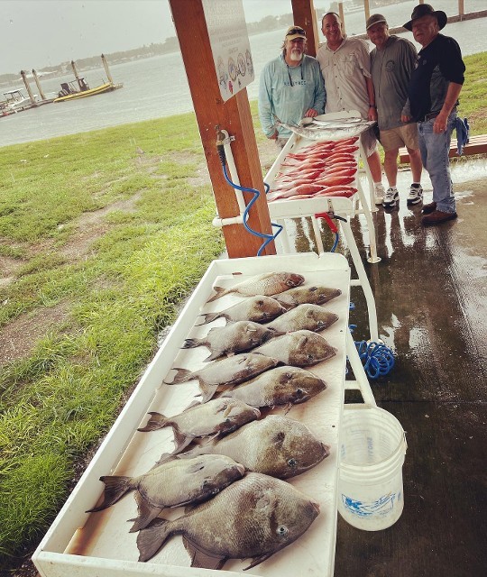 Group Of Men With Fishes